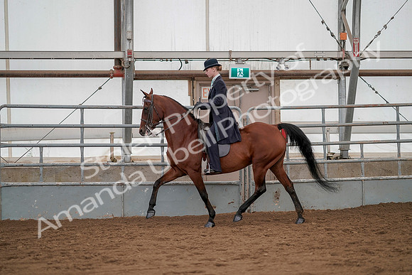 July 20, 2019 - 04313