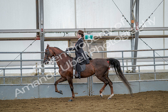 July 20, 2019 - 14389