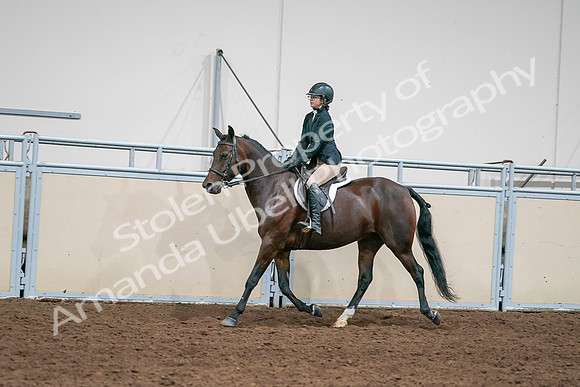 2020 - AB Morgan Horse - Sat, Sept 05 - 09076