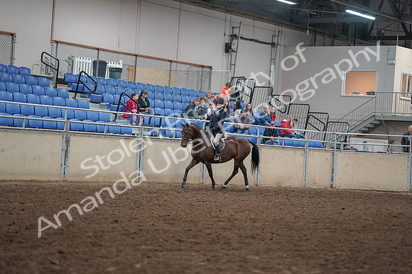 2019 Morgan Horse Show - Aug 30, 2019 - 12651