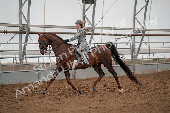 July 20, 2019 - 03628