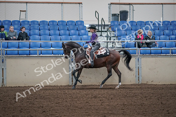 2019 Morgan Horse Show - Aug 31, 2019 - 10638