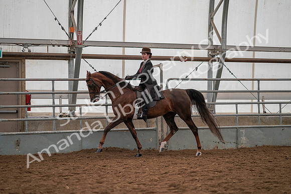 July 19, 2019 - 13009