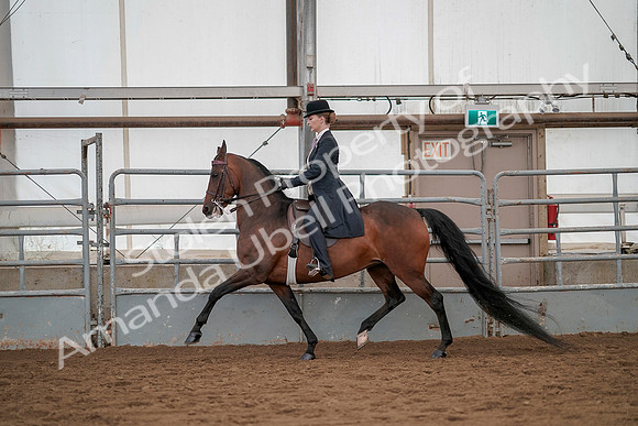 July 20, 2019 - 04384