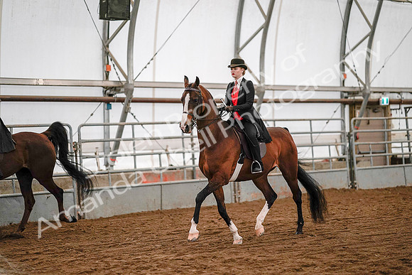 July 19, 2019 - 8789
