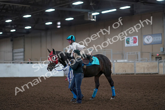 2019 Morgan Horse Show - Aug 31, 2019 - 10104
