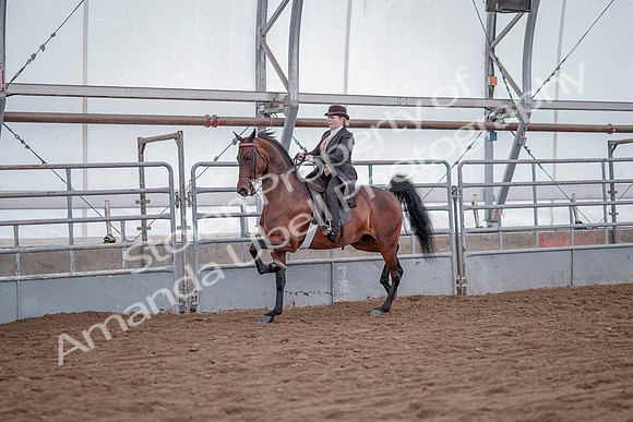 July 20, 2019 - 13782
