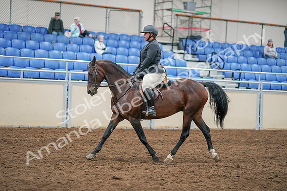 2020 - AB Morgan Horse - Sat, Sept 05 - 14304