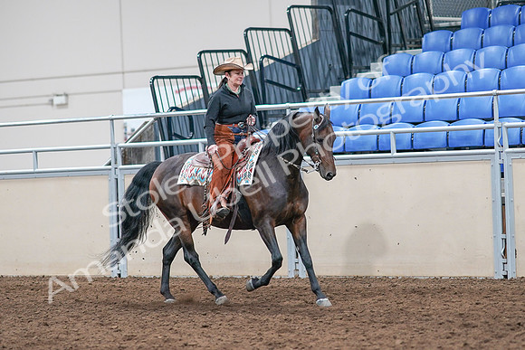 2020 - AB Morgan Horse - Sun, Sept 06 - 01645