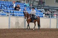 2020 - AB Morgan Horse - Fri, Sept 04 - 05691