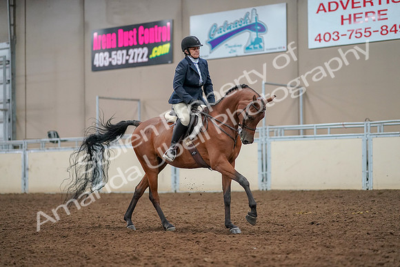 2019 Morgan Horse Show - Aug 30, 2019 - 22539