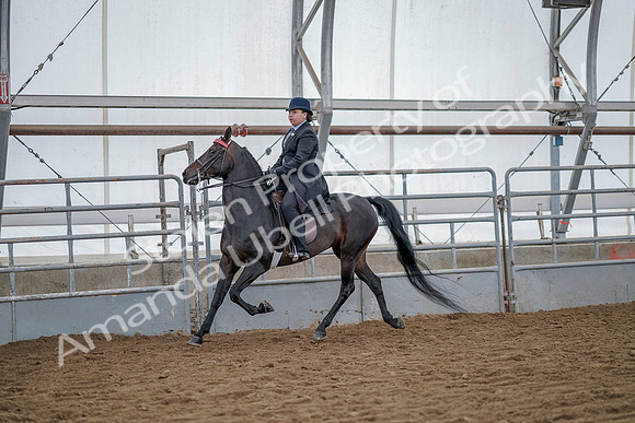 July 20, 2019 - 14460