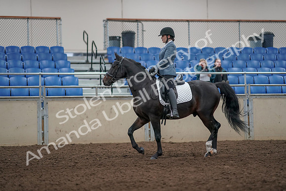 2019 Morgan Horse Show - Aug 31, 2019 - 07165