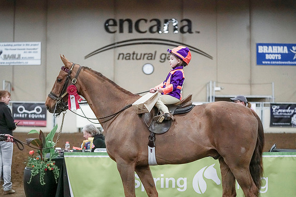 Spring Fling - Saturday - April 20, 2019  -  00182