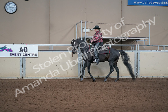 2019 Morgan Horse Show - Aug 31, 2019 - 10614