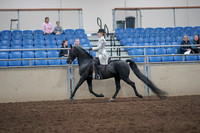 2019 Morgan Horse Show - Aug 31, 2019 - 09241