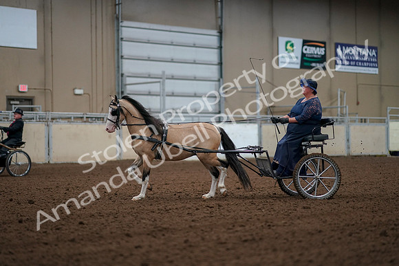 2019 Morgan Horse Show - Aug 30, 2019 - 13246