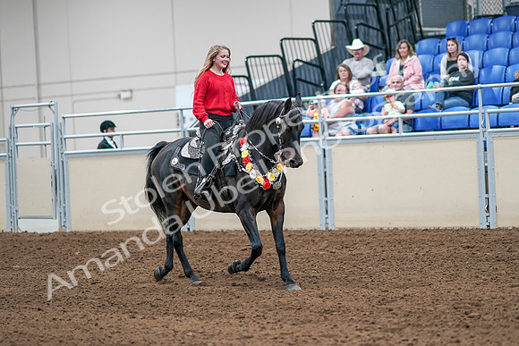 2020 - AB Morgan Horse - Sat, Sept 05 - 10503