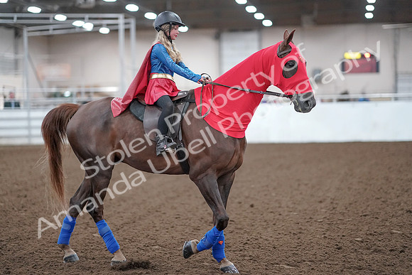 2019 Morgan Horse Show - Aug 31, 2019 - 10005