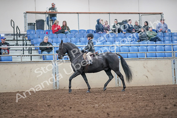 2019 Morgan Horse Show - Aug 31, 2019 - 19469