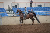 2019 Morgan Horse Show - Aug 31, 2019 - 07663