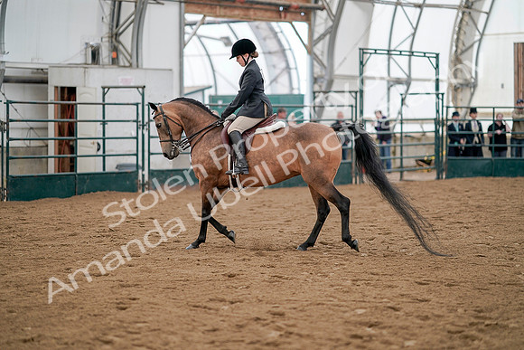 July 20, 2019 - 01238