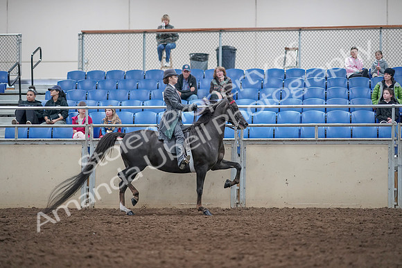 2019 Morgan Horse Show - Aug 31, 2019 - 09651