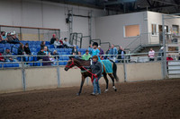 2019 Morgan Horse Show - Aug 31, 2019 - 09931