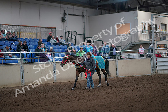 2019 Morgan Horse Show - Aug 31, 2019 - 09931