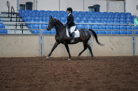 2019 Morgan Horse Show - Aug 30, 2019 - 18301