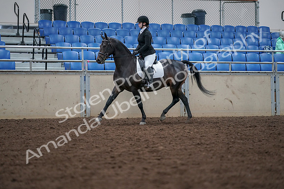 2019 Morgan Horse Show - Aug 30, 2019 - 18301