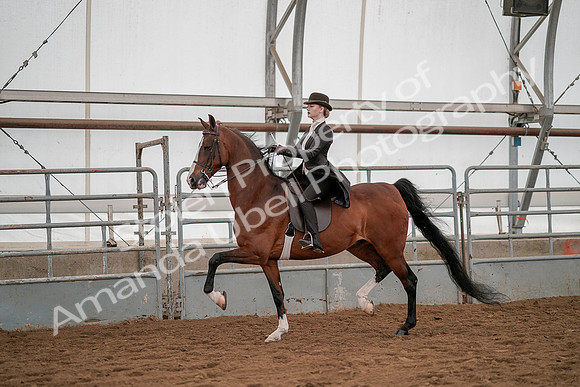 July 19, 2019 - 4231