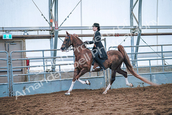 July 20, 2019 - 23835