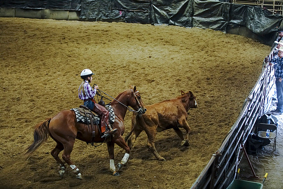 DSC09198