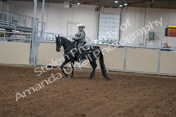 2020 - AB Morgan Horse - Fri, Sept 04 - 03496
