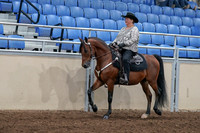 2020 - AB Morgan Horse - Fri, Sept 04 - 05701