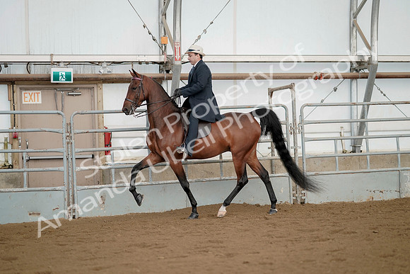 July 21, 2019 - 01665