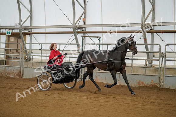 July 20, 2019 - 00190
