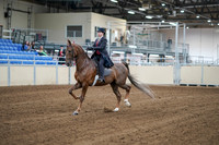 2020 - AB Morgan Horse - Sat, Sept 05 - 06046