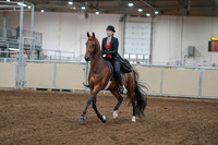 2020 - AB Morgan Horse - Sat, Sept 05 - 06693