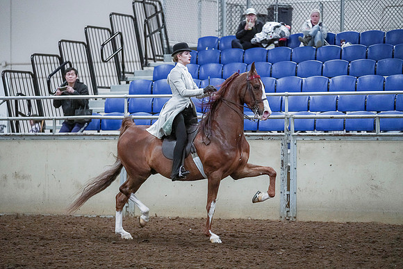 Spring Fling - Saturday - April 20, 2019  -  00580
