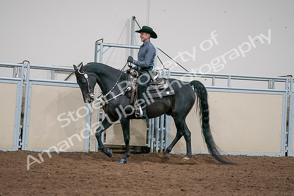 2020 - AB Morgan Horse - Fri, Sept 04 - 08542