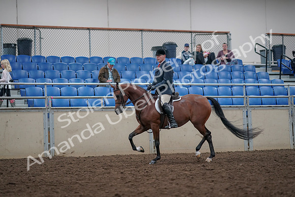 2019 Morgan Horse Show - Aug 31, 2019 - 14947