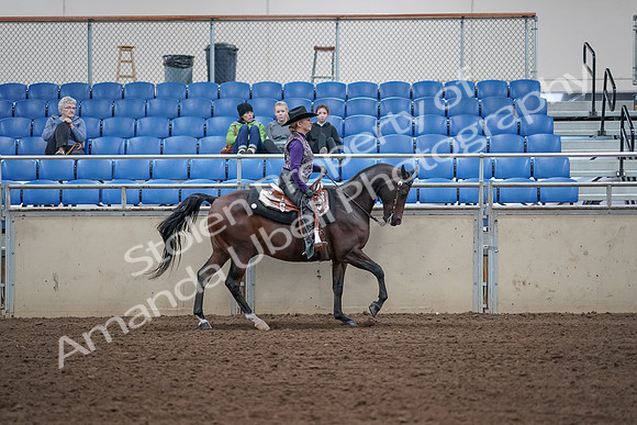 2019 Morgan Horse Show - Aug 31, 2019 - 10702