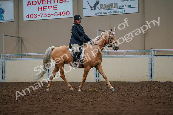 2019 Morgan Horse Show - Aug 30, 2019 - 22610