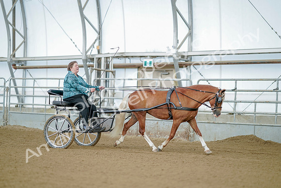July 21, 2019 - 09268
