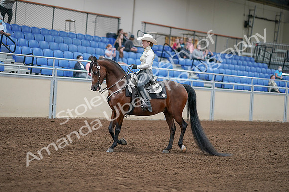 2020 - AB Morgan Horse - Fri, Sept 04 - 08261