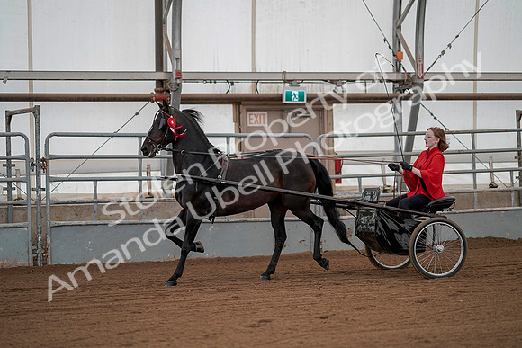 July 20, 2019 - 00315