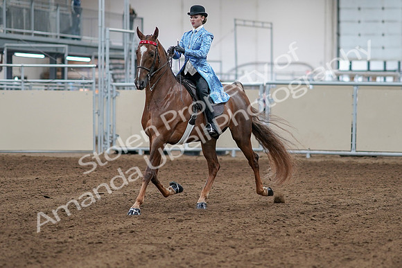 2020 - AB Morgan Horse - Sat, Sept 05 - 06102