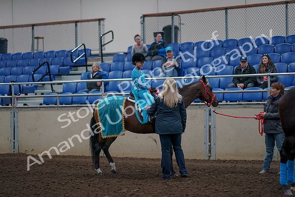 2019 Morgan Horse Show - Aug 31, 2019 - 10209